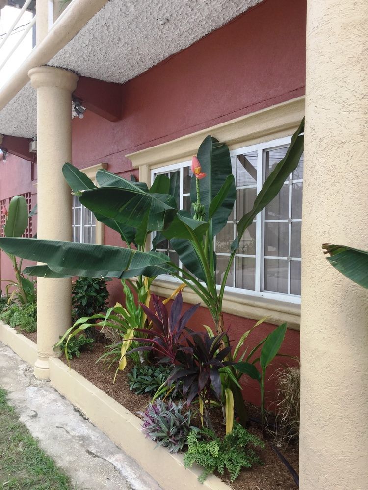 Inn Flight Suites Piarco Exterior foto